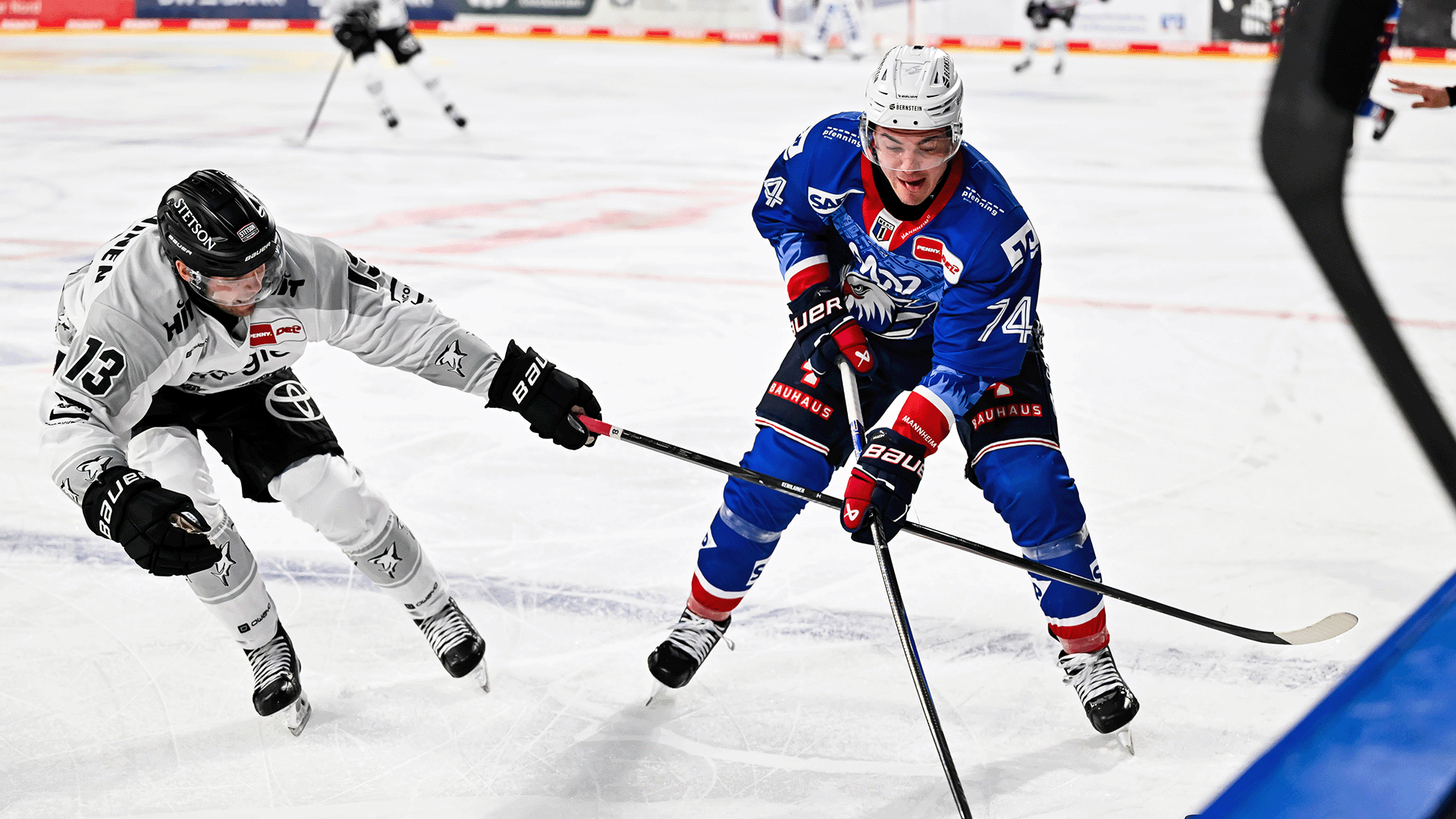 Adler Mannheim gg. Kölner Haie
